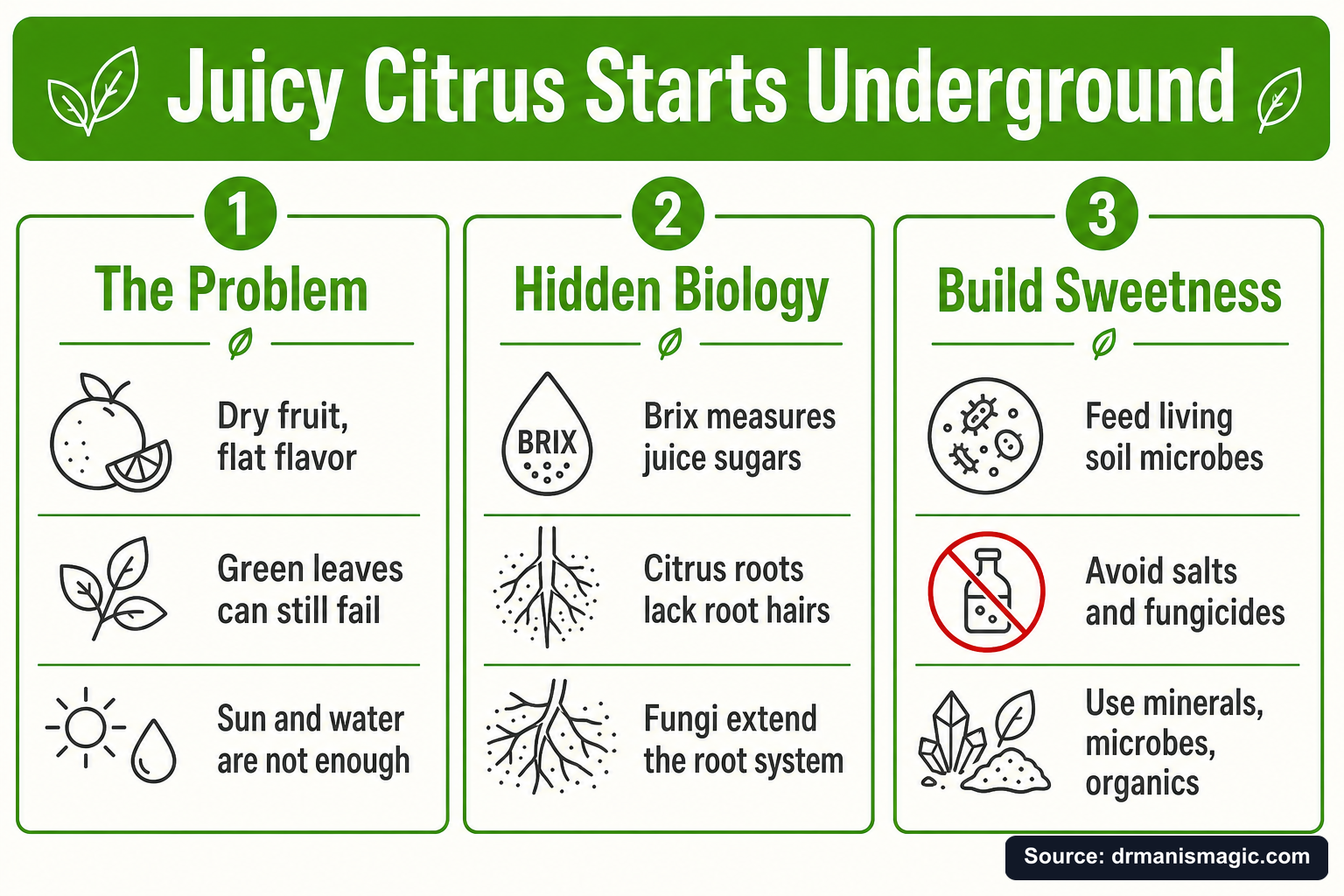 Juicy Citrus Starts Underground infographic