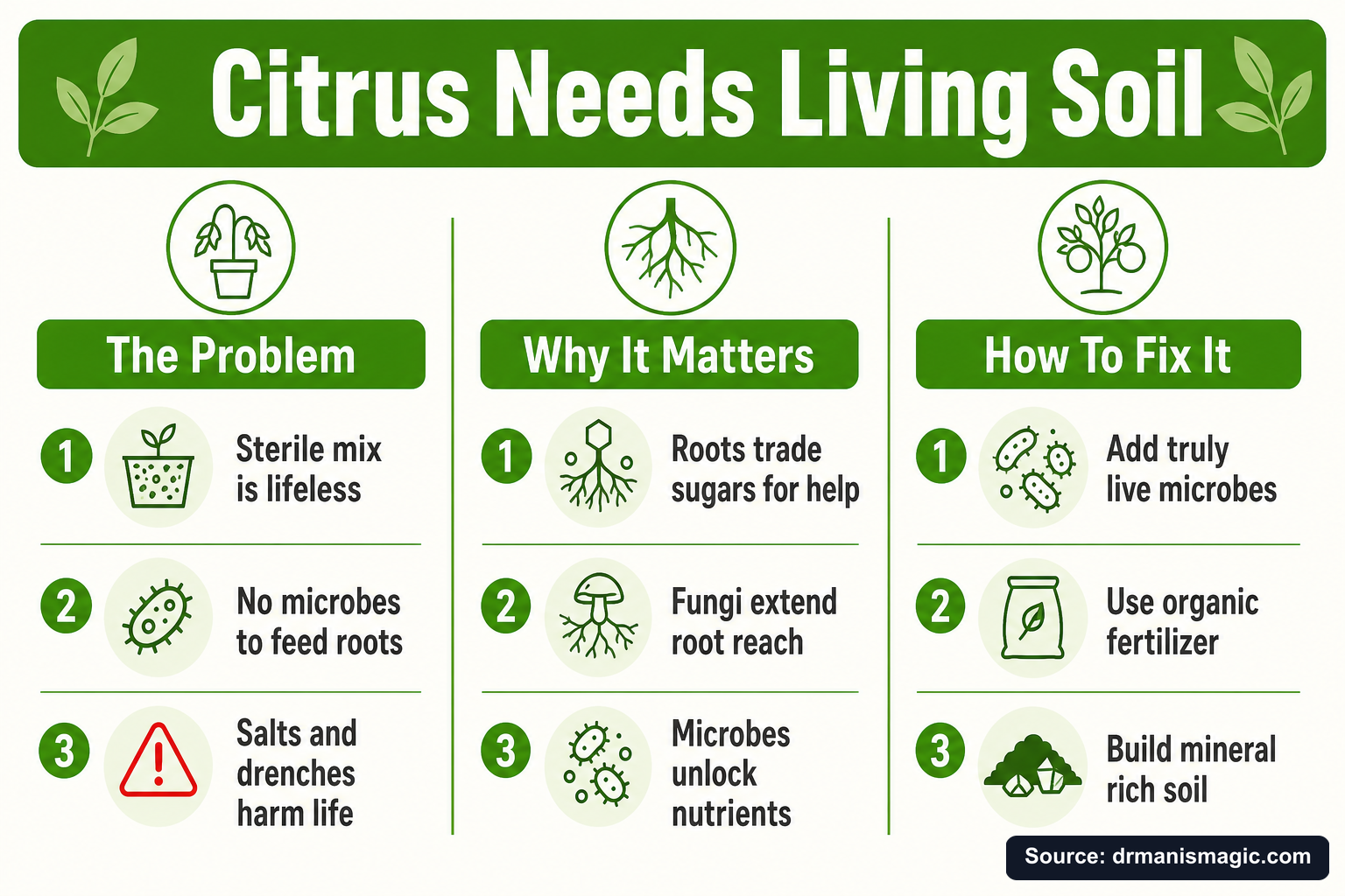 Citrus Needs Living Soil infographic