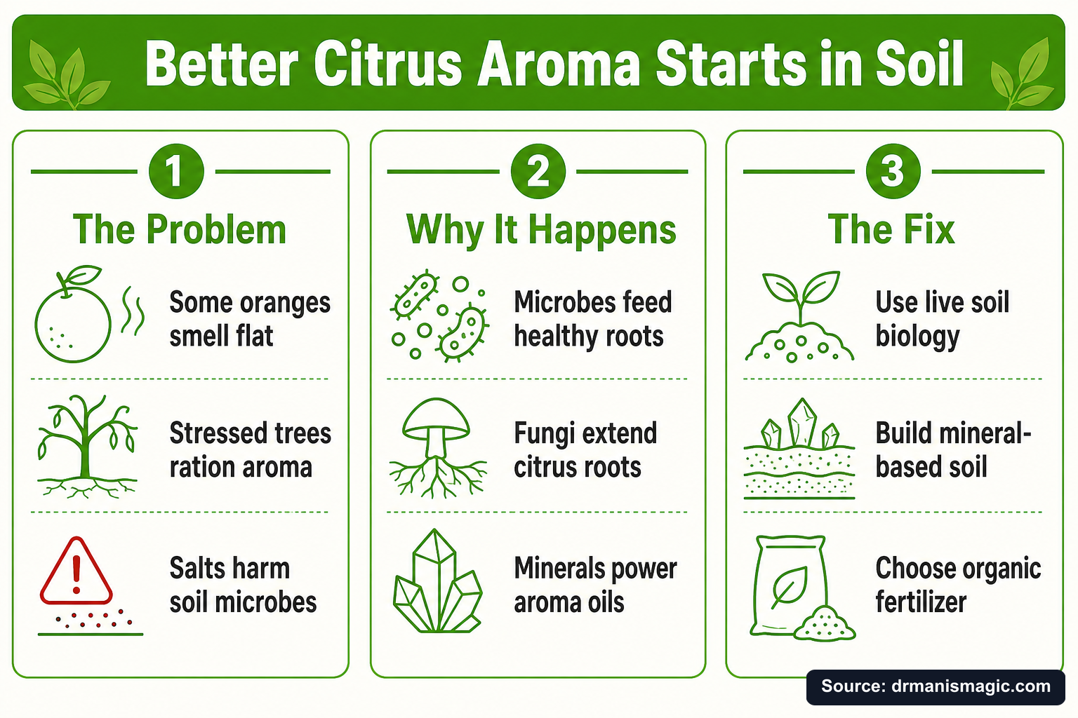 Better Citrus Aroma Starts in Soil infographic