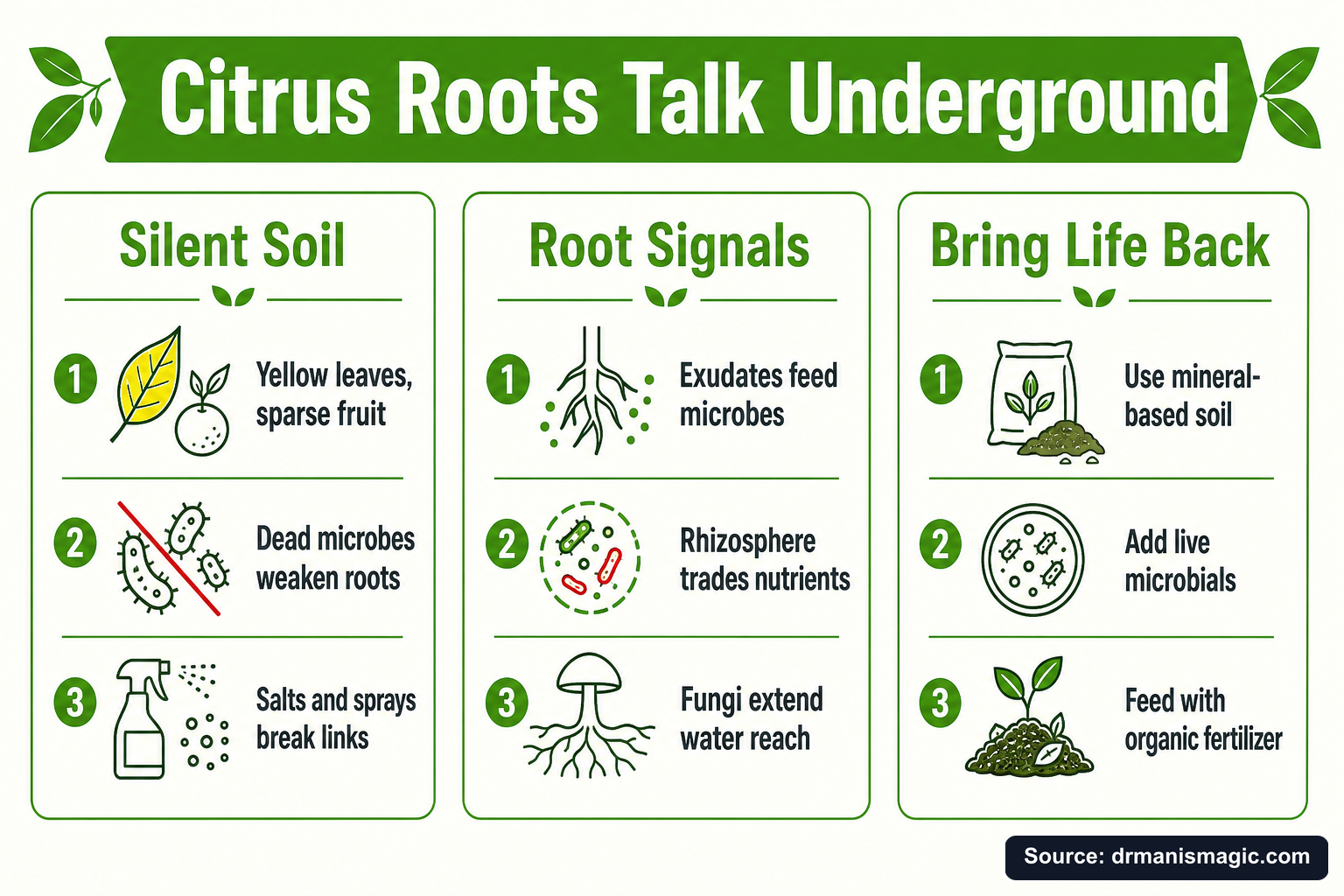 Citrus Roots Talk Underground infographic