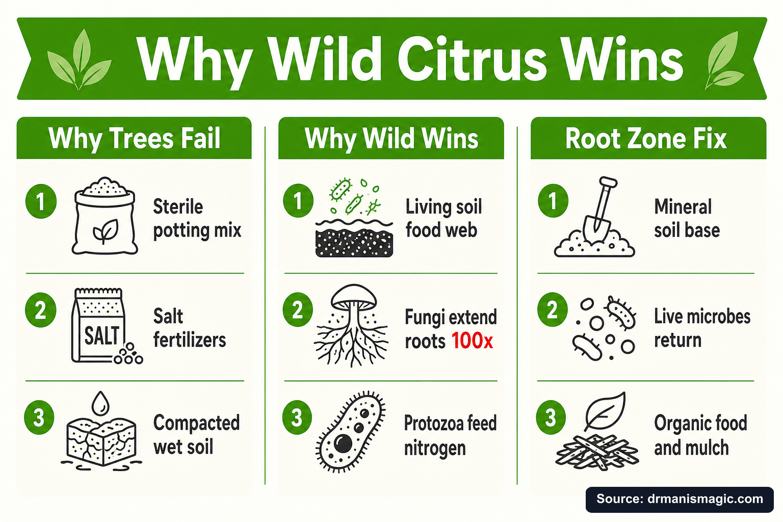 Why Wild Citrus Wins infographic