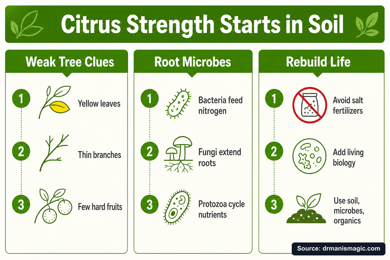 Citrus Strength Starts in Soil infographic