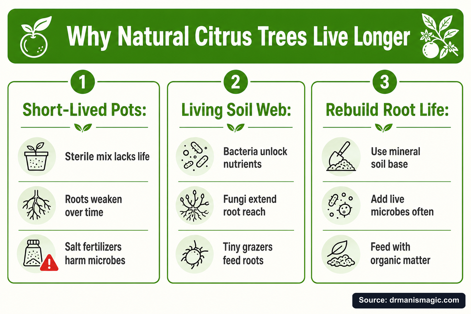 Why Natural Citrus Trees Live Longer infographic