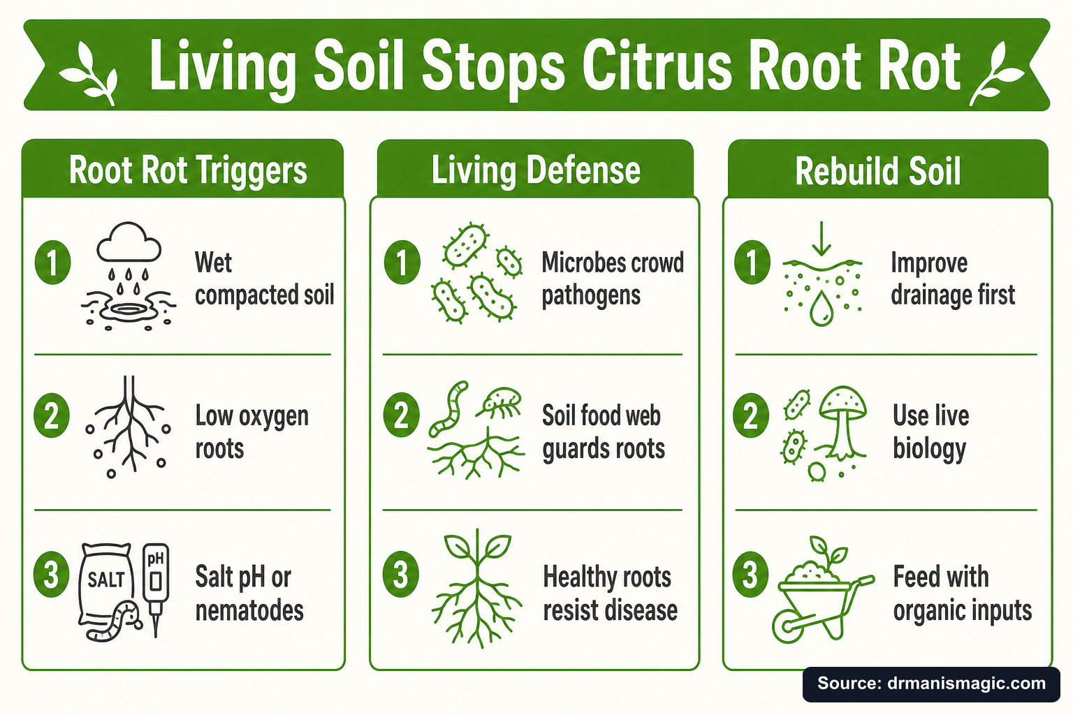 Living Soil Stops Citrus Root Rot infographic