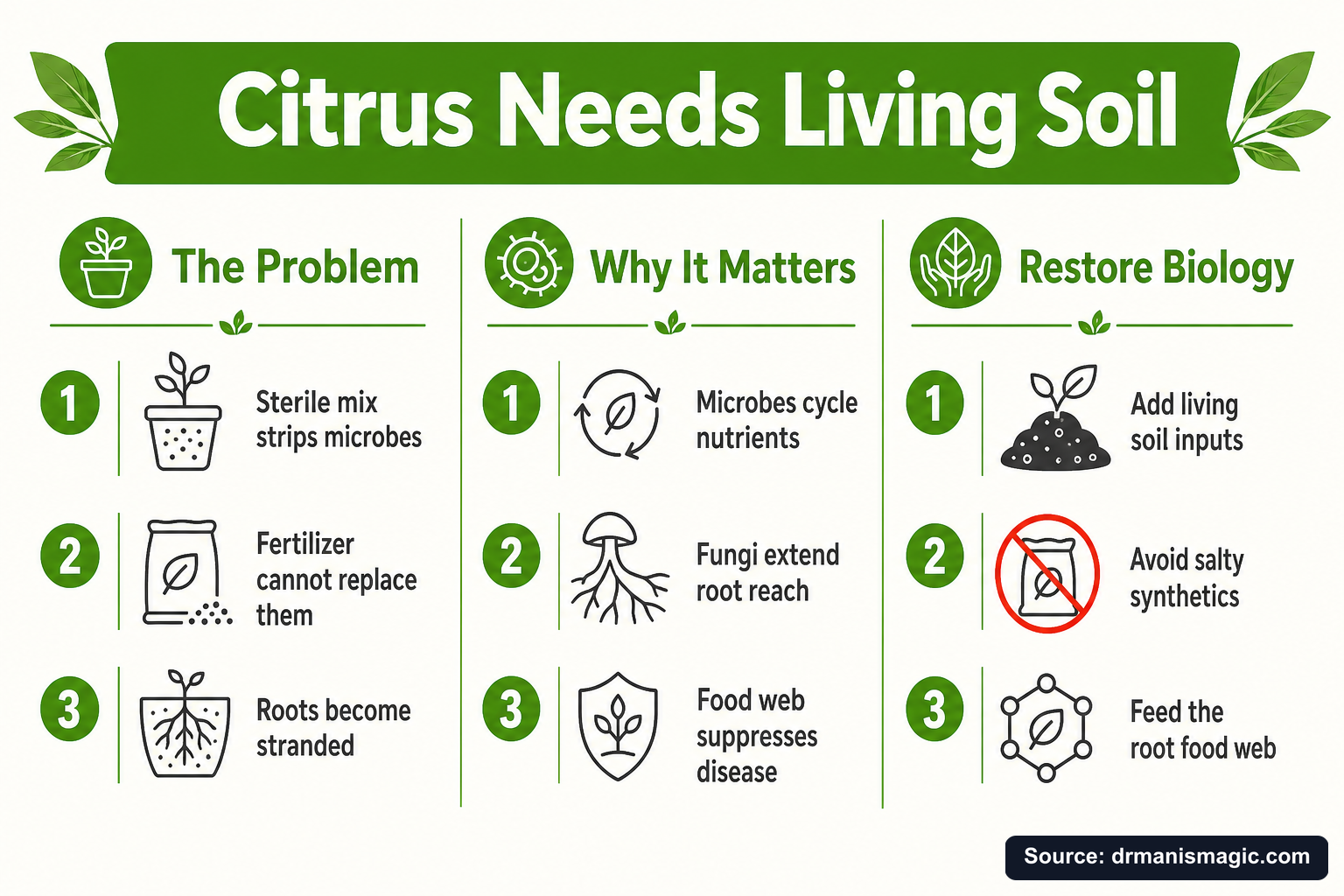 Citrus Needs Living Soil infographic