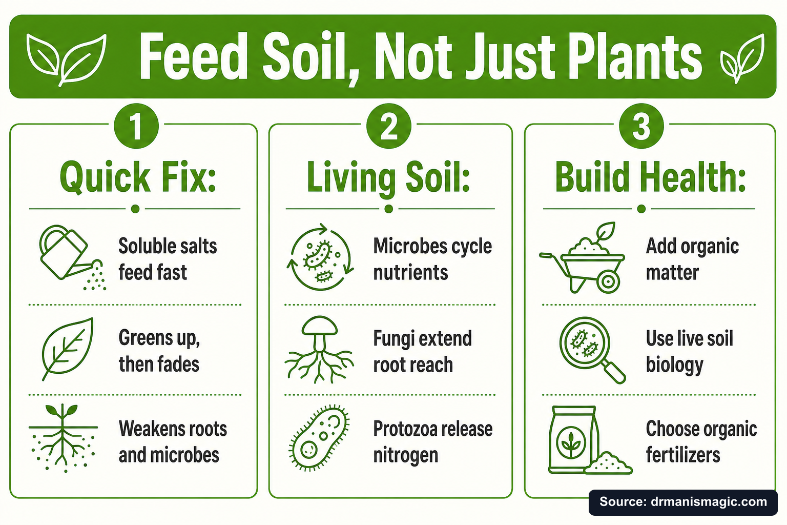 Feed Soil, Not Just Plants infographic