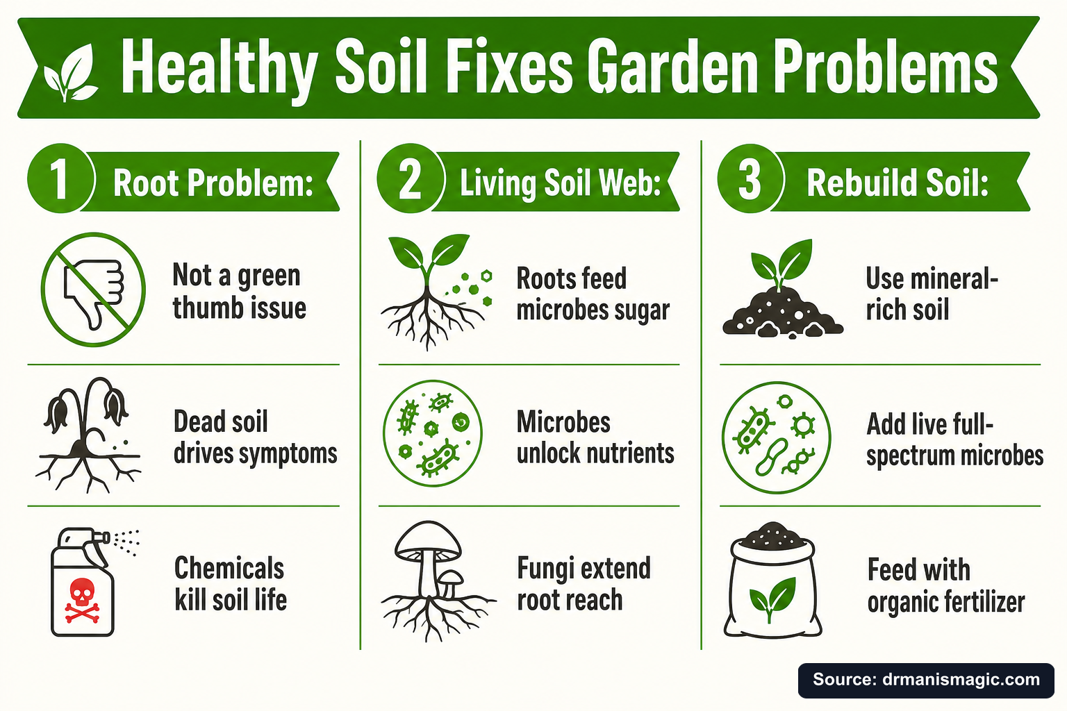 Healthy Soil Fixes Garden Problems infographic