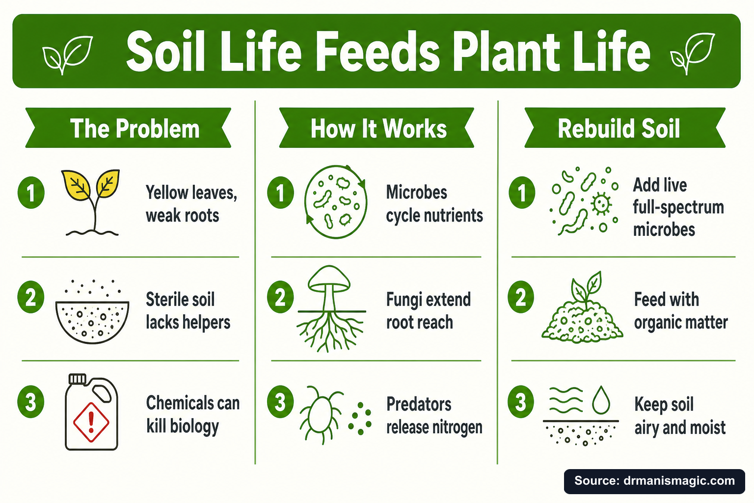 Soil Life Feeds Plant Life infographic