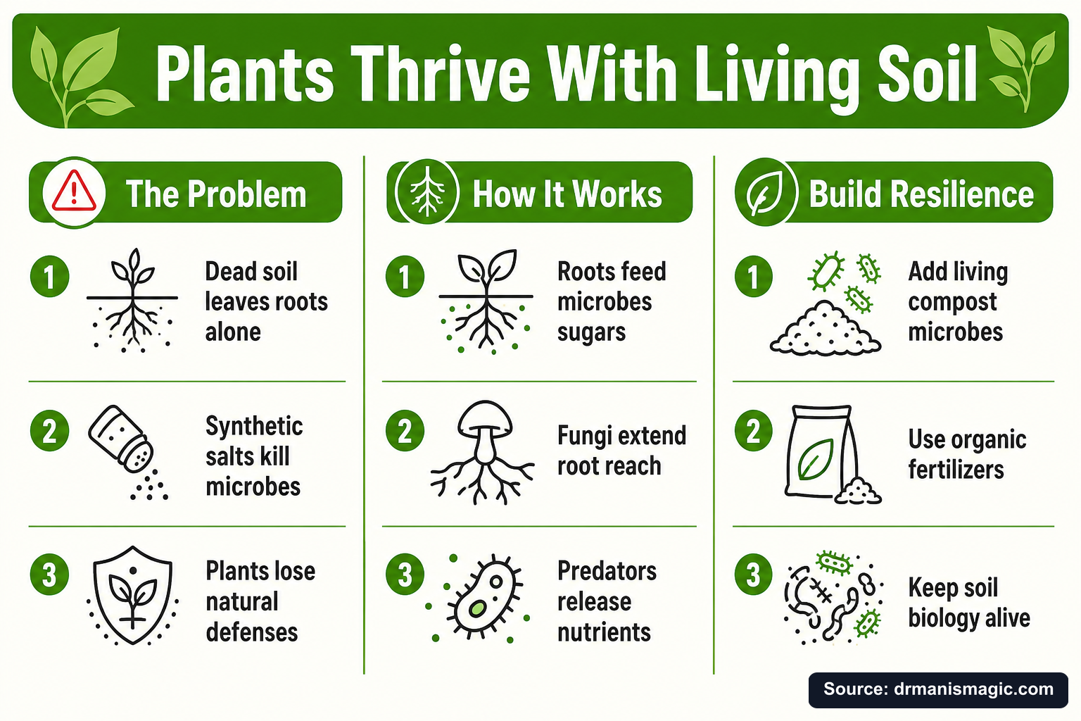 Plants Thrive With Living Soil infographic