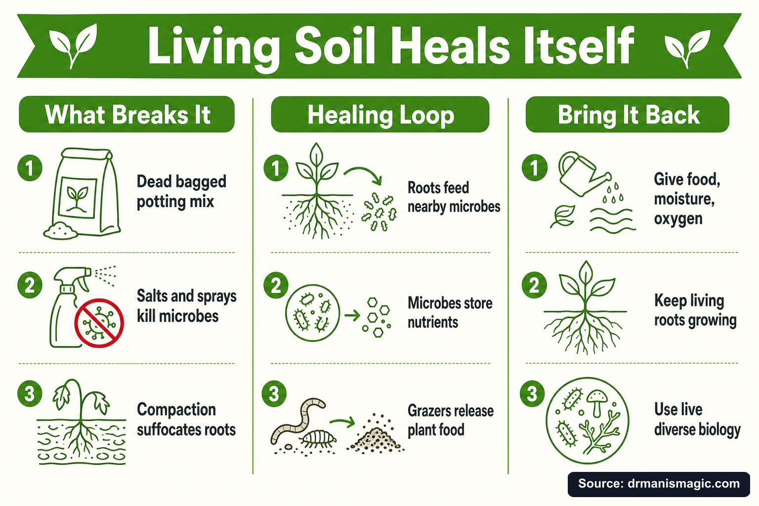 Living Soil Heals Itself infographic