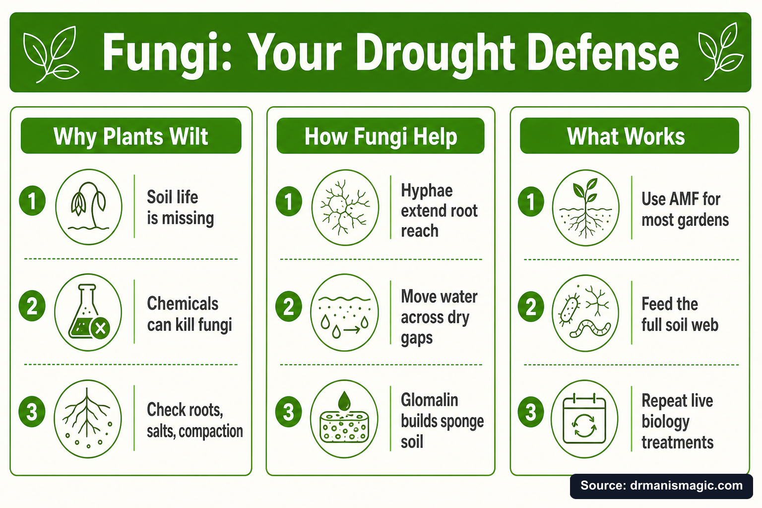 Fungi: Your Drought Defense infographic