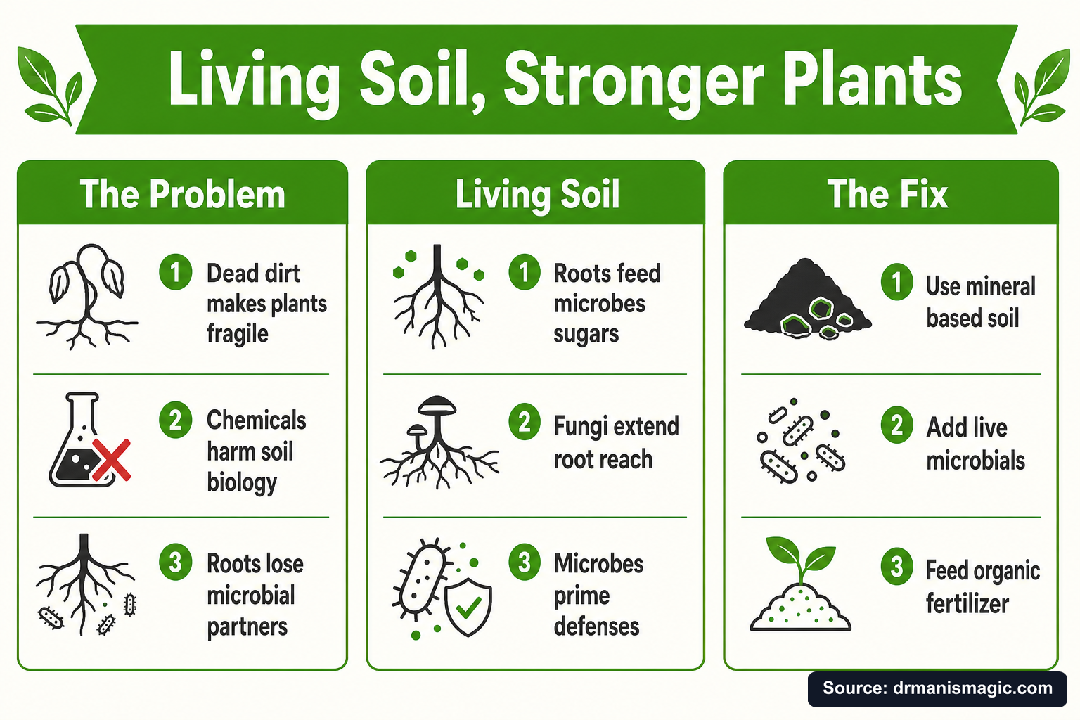 Living Soil, Stronger Plants infographic