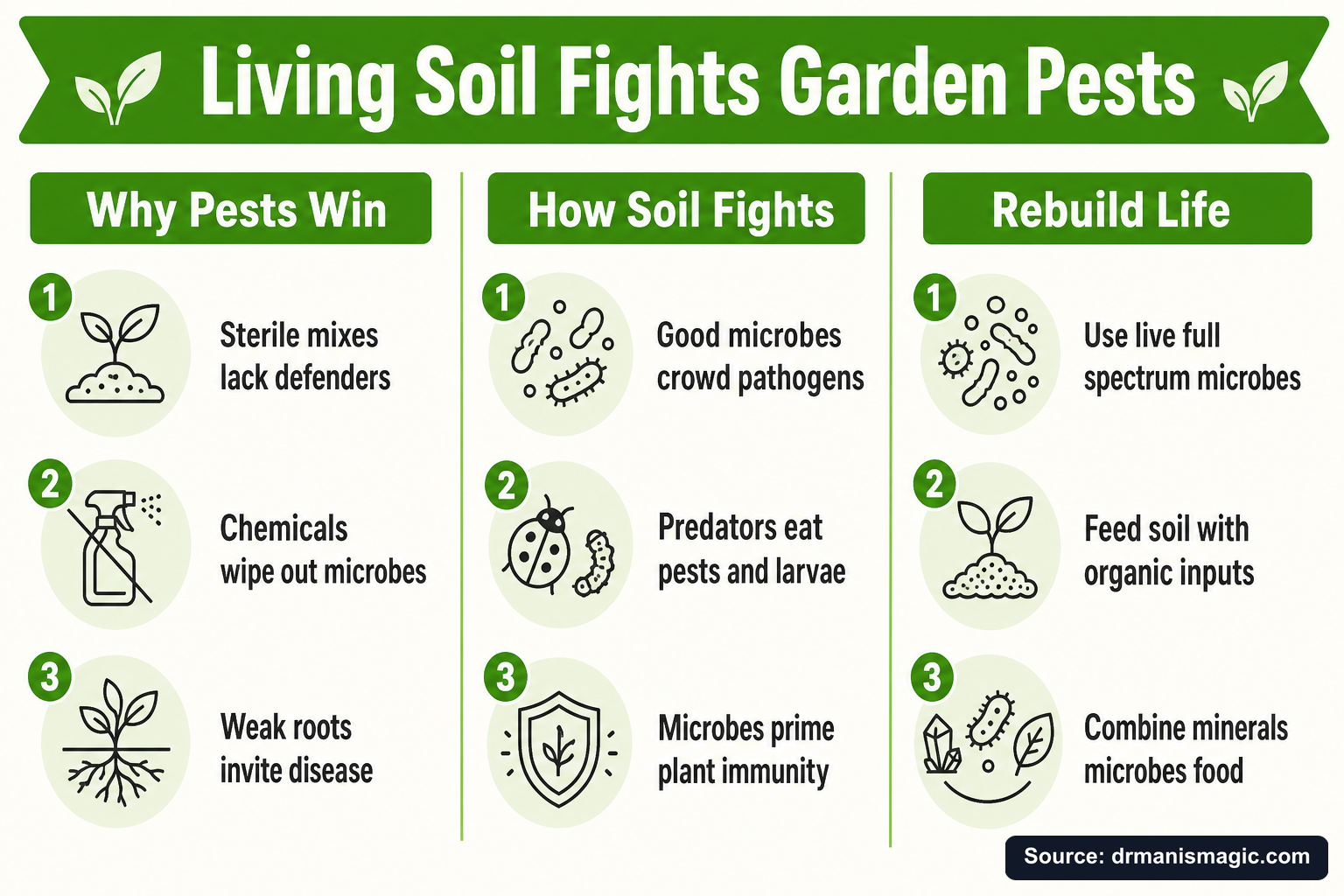 Living Soil Fights Garden Pests infographic