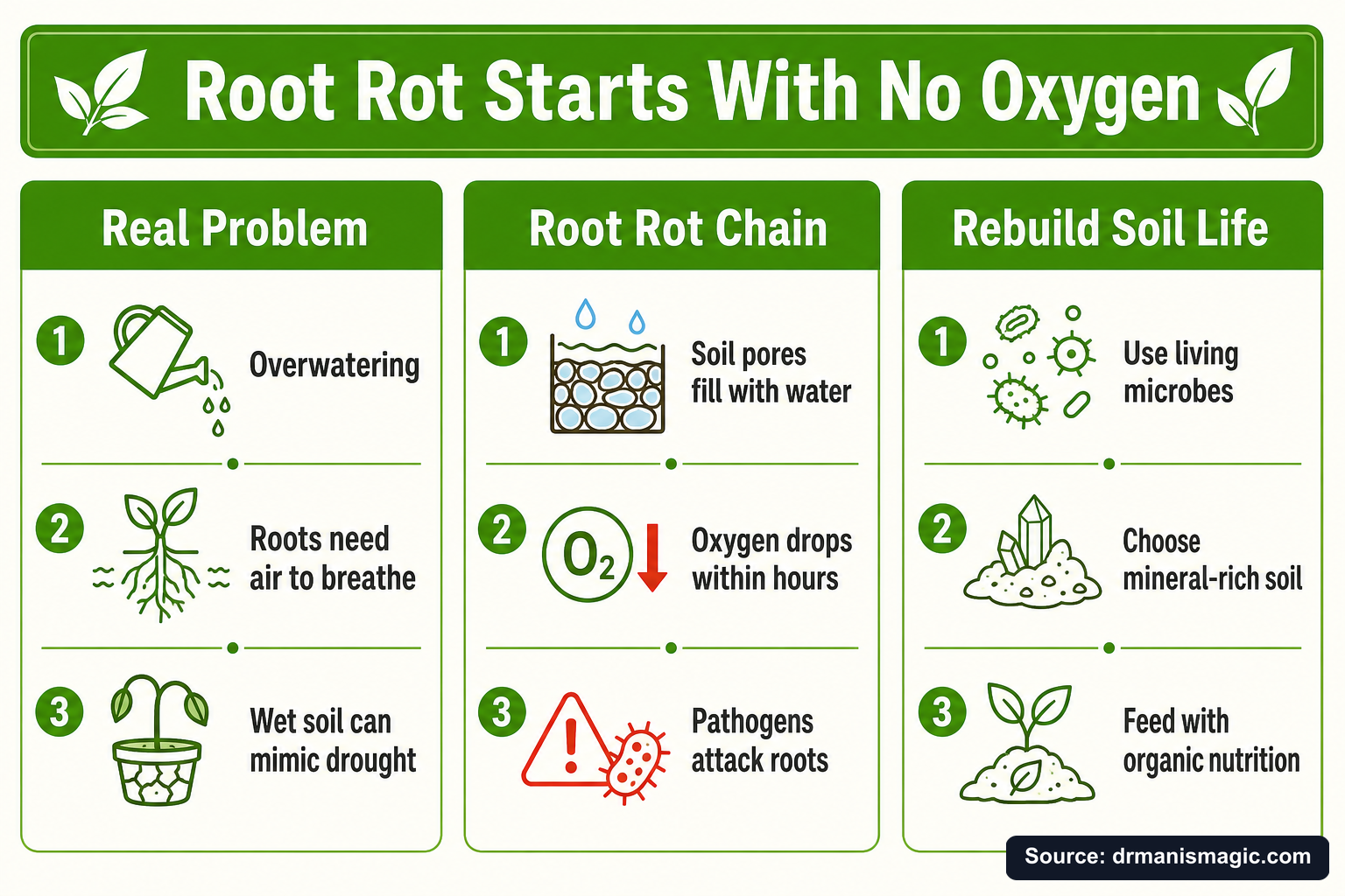 Root Rot Starts With No Oxygen infographic