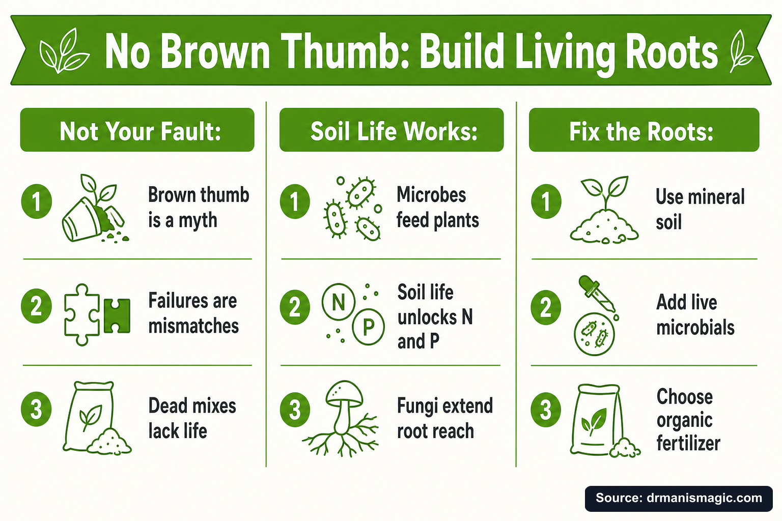 No Brown Thumb: Build Living Roots infographic
