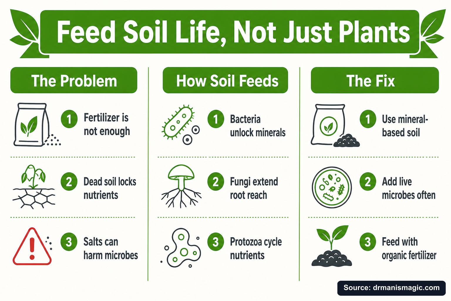Feed Soil Life, Not Just Plants infographic