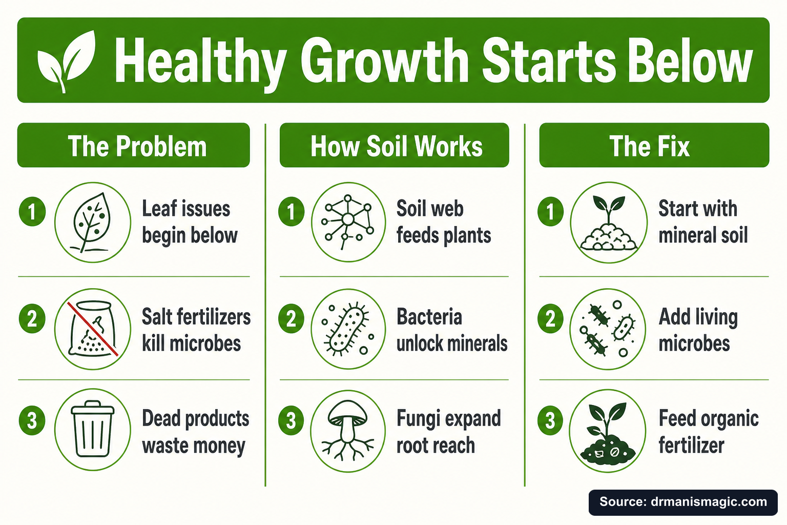 Healthy Growth Starts Below infographic