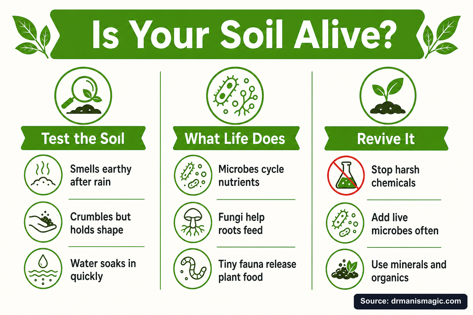 Is Your Soil Alive? infographic