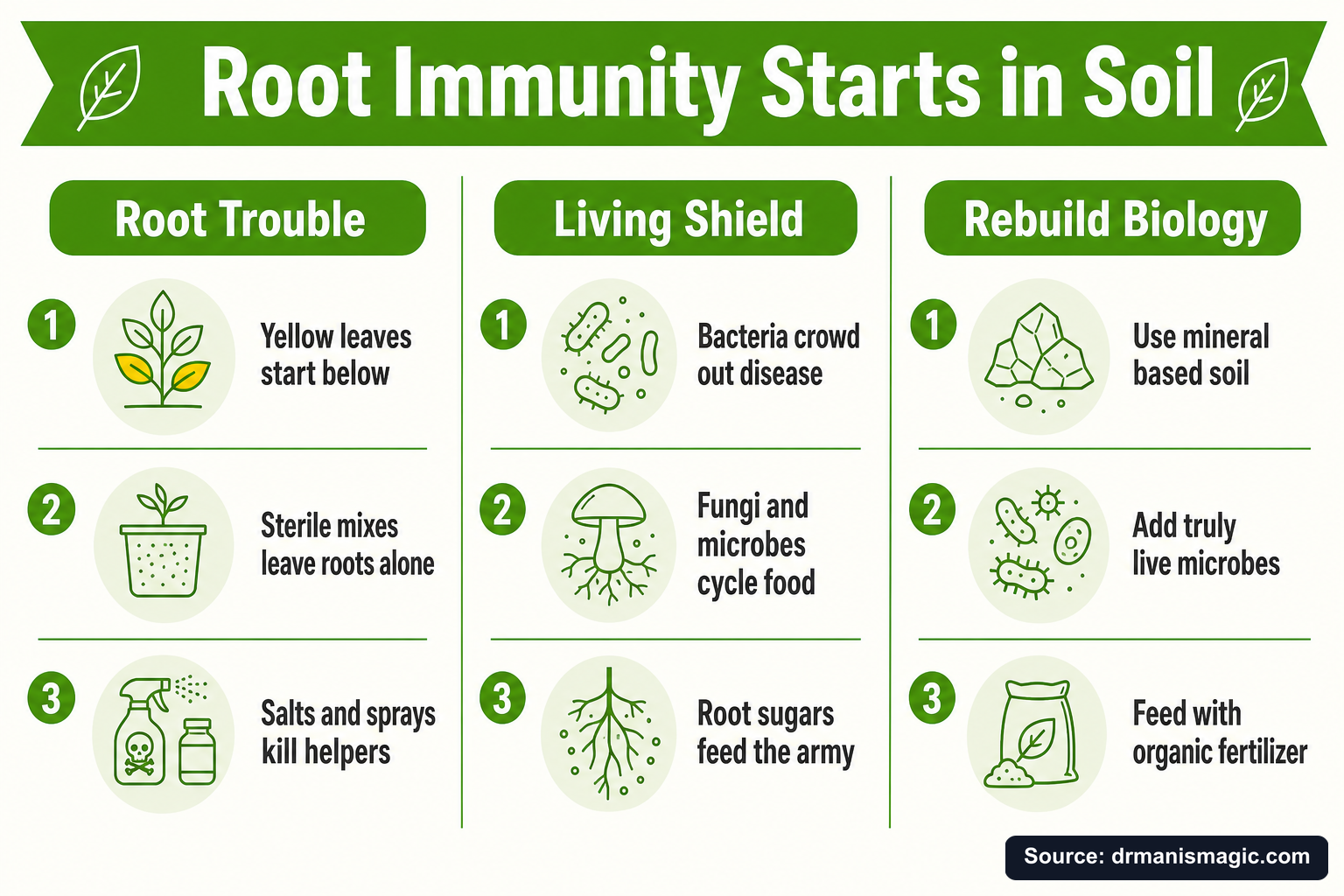 Root Immunity Starts in Soil infographic