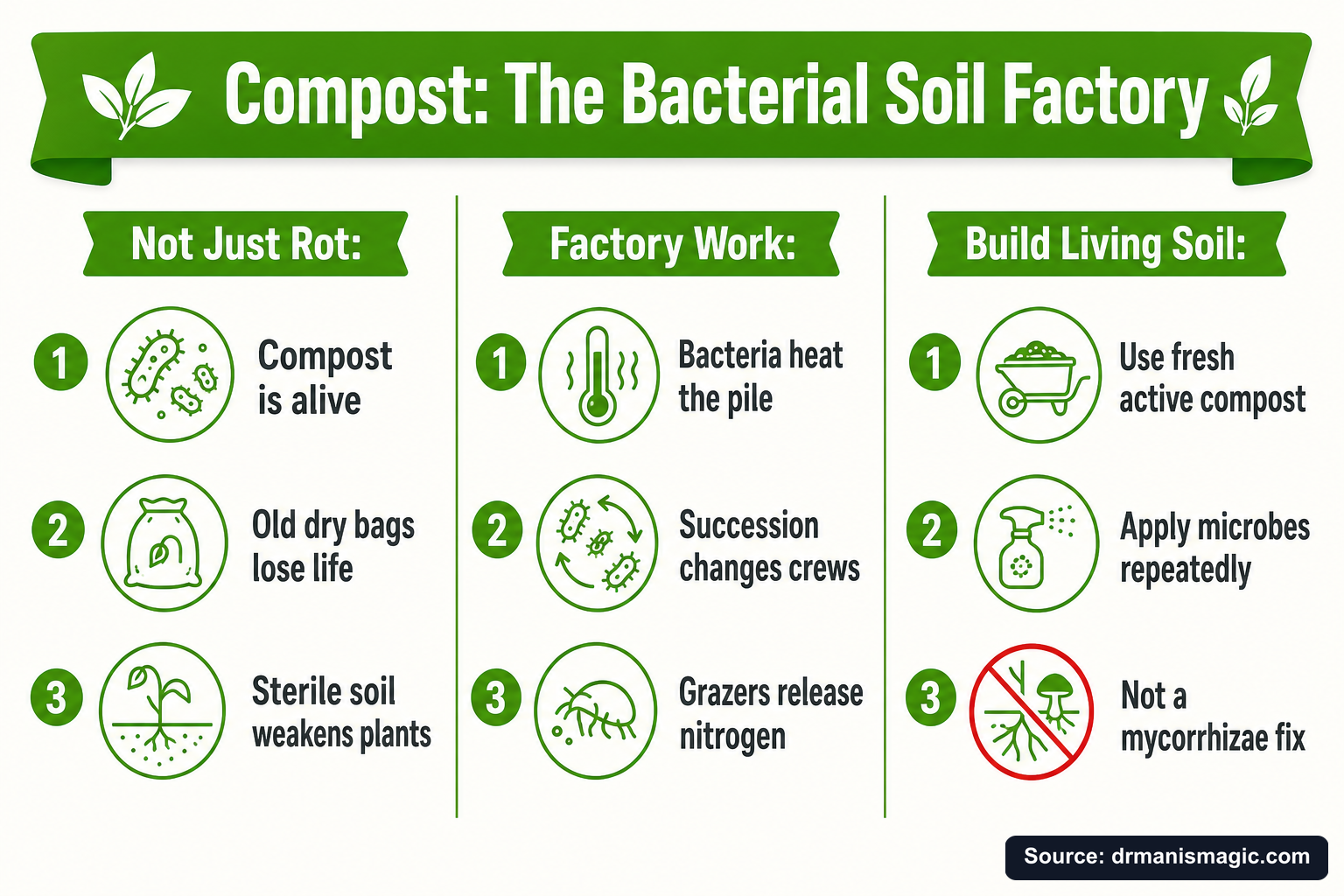 Compost: The Bacterial Soil Factory infographic