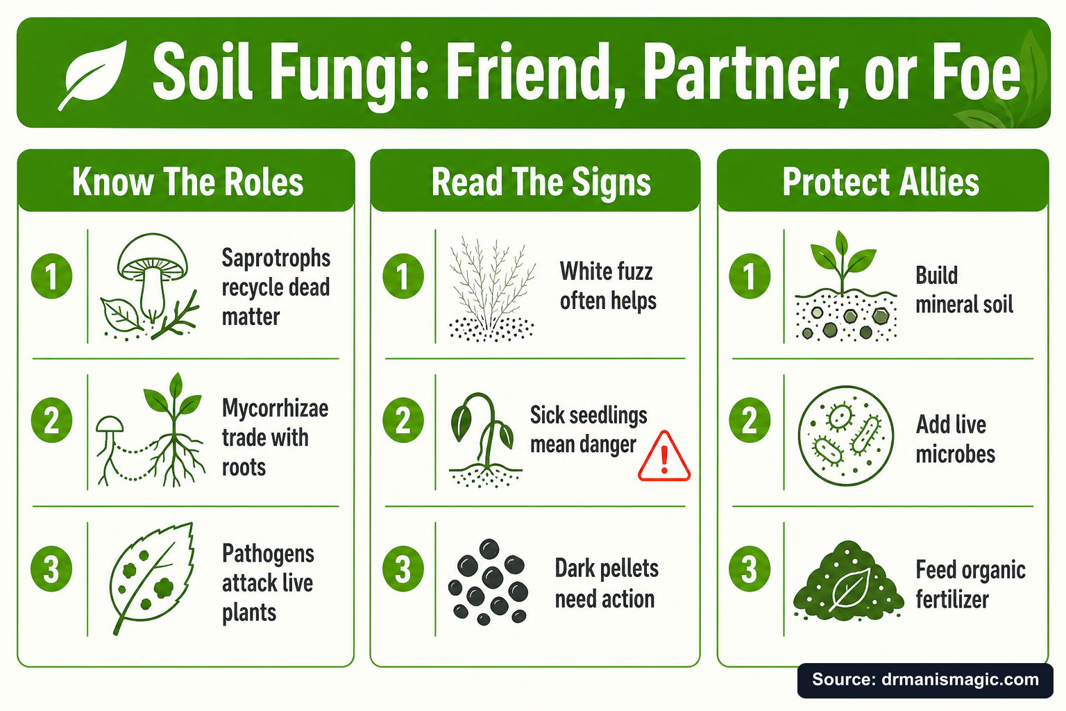 Soil Fungi: Friend, Partner, or Foe infographic