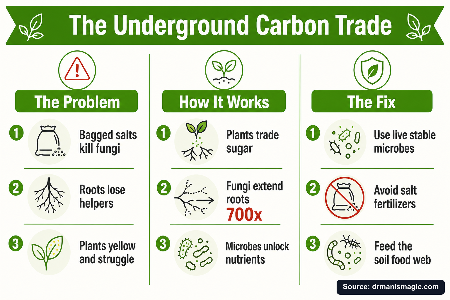 The Underground Carbon Trade infographic