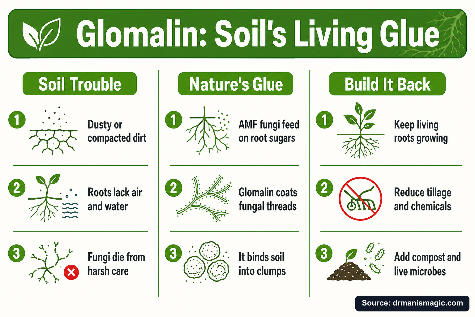 Glomalin: Soil's Living Glue infographic