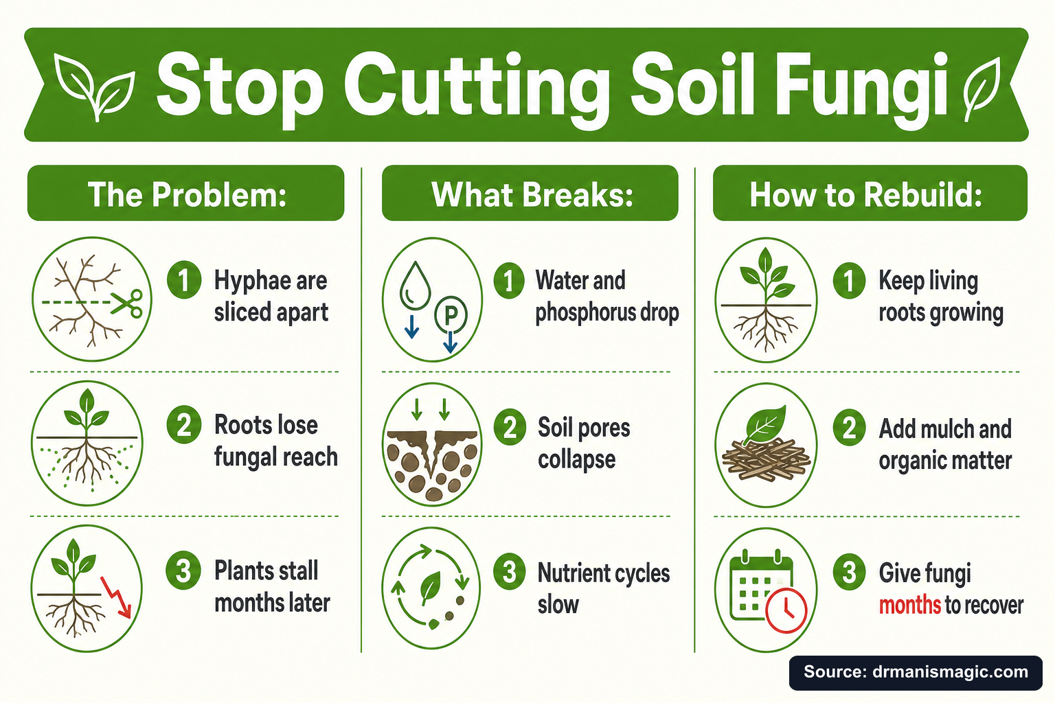 Stop Cutting Soil Fungi infographic