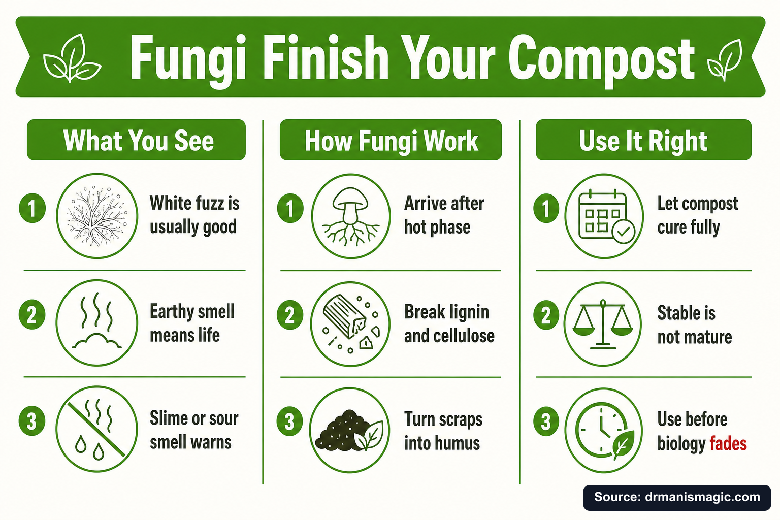 Fungi Finish Your Compost infographic