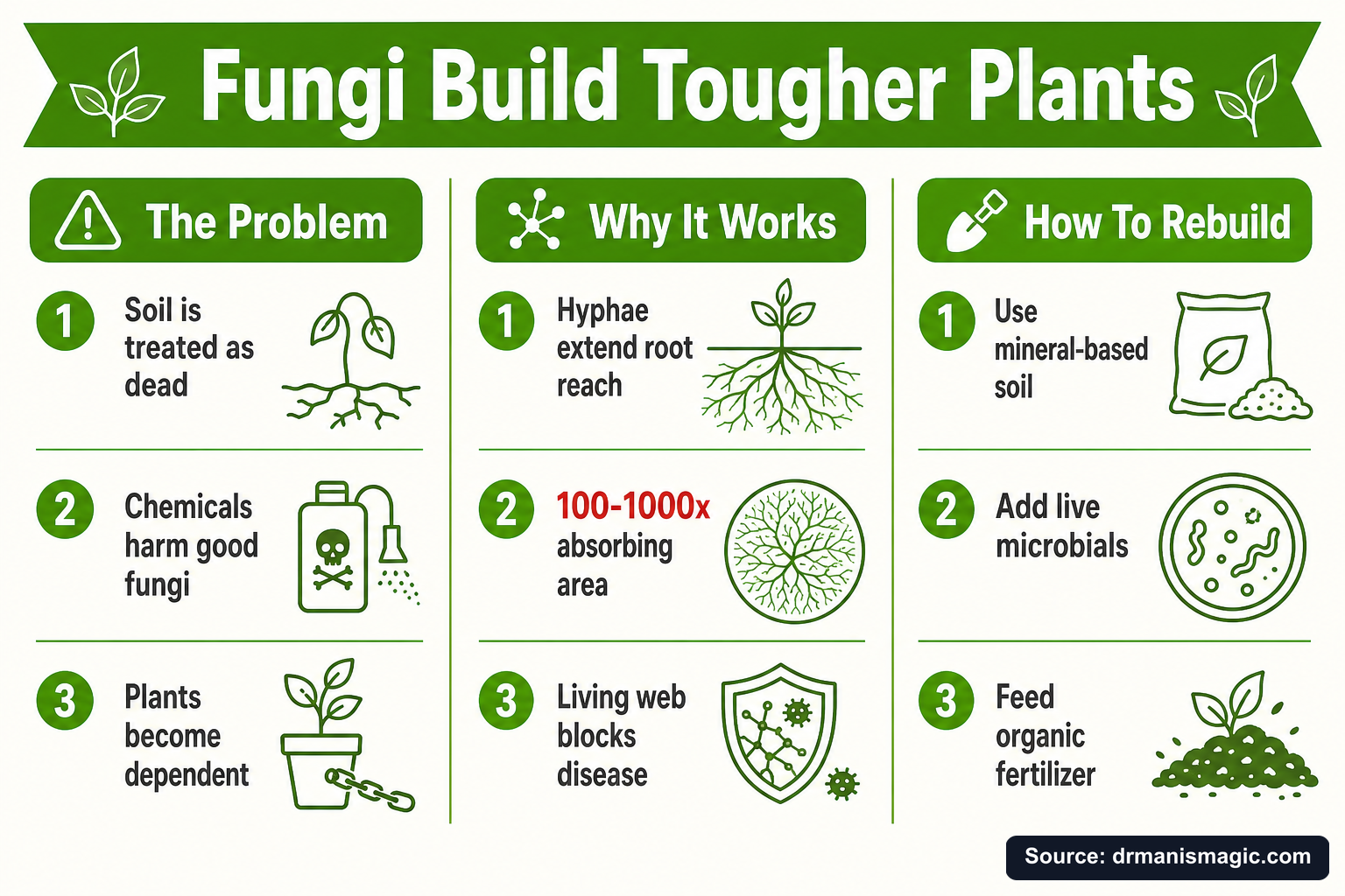 Fungi Build Tougher Plants infographic