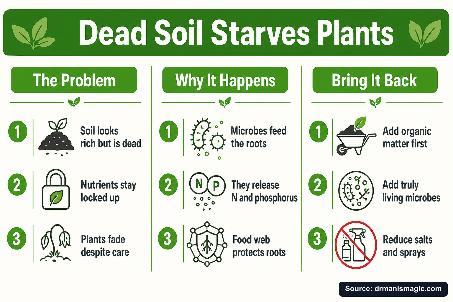 Dead Soil Starves Plants infographic