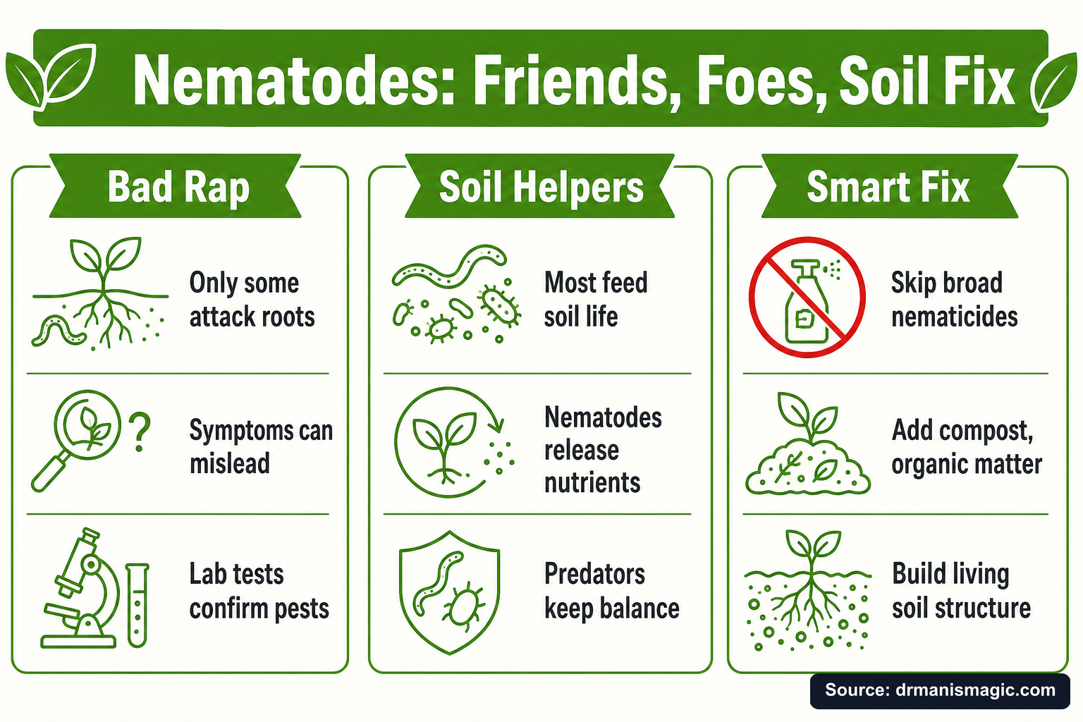 Nematodes: Friends, Foes, Soil Fix infographic
