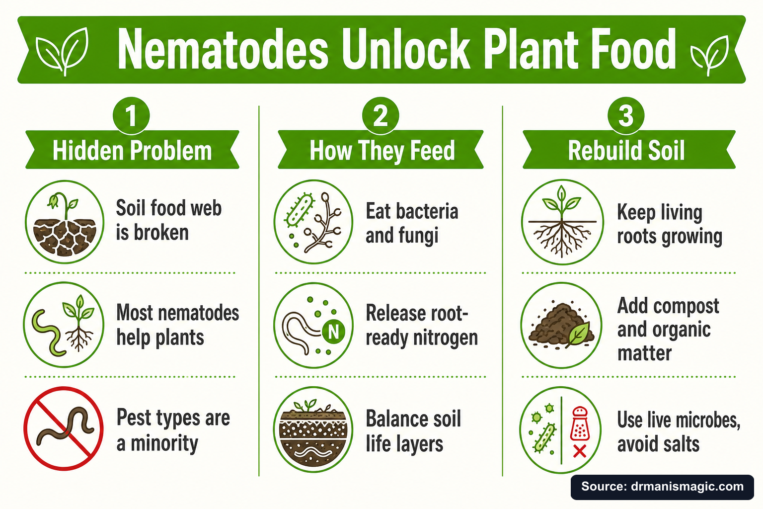 Nematodes Unlock Plant Food infographic
