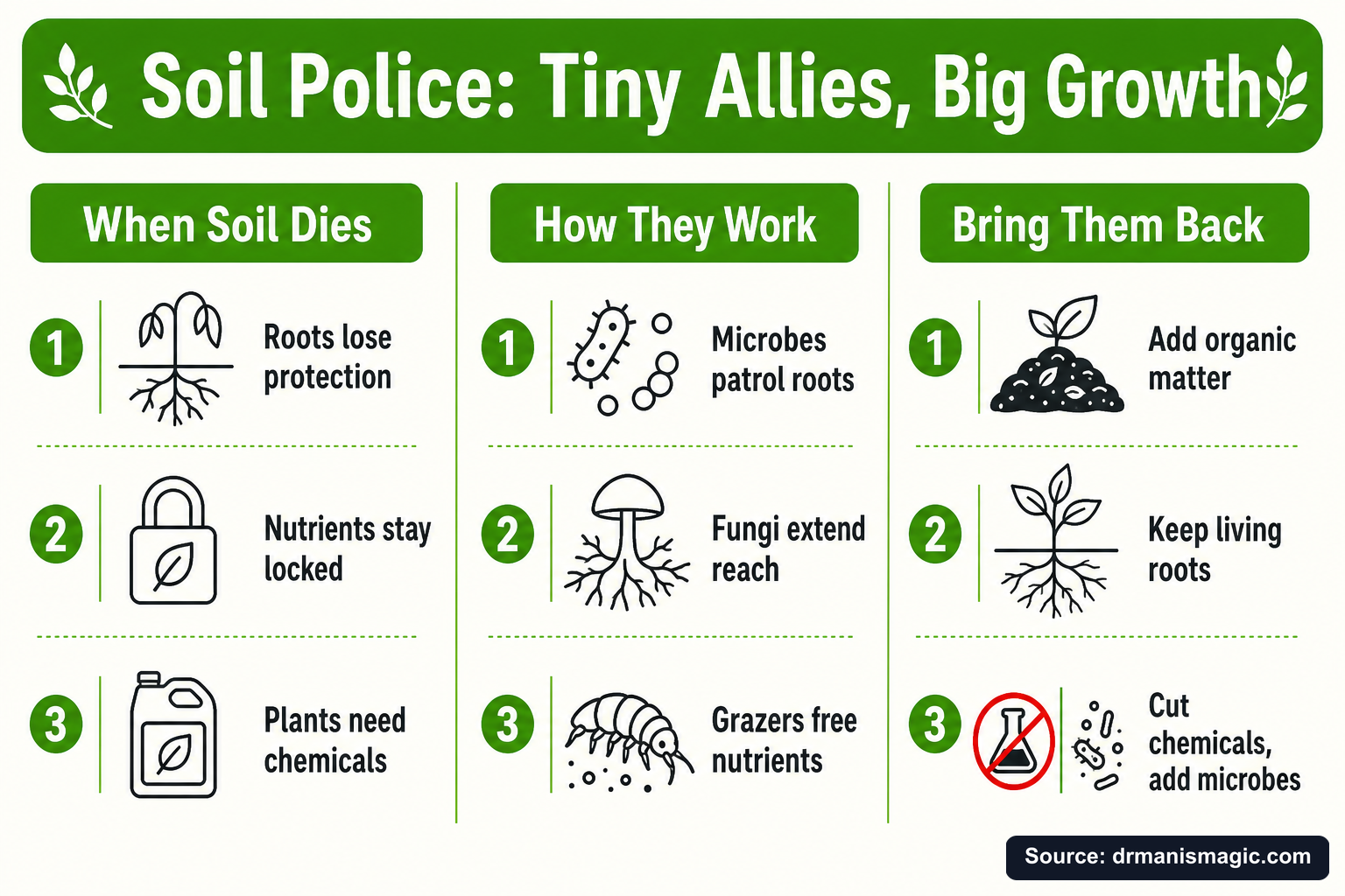 Soil Police: Tiny Allies, Big Growth infographic