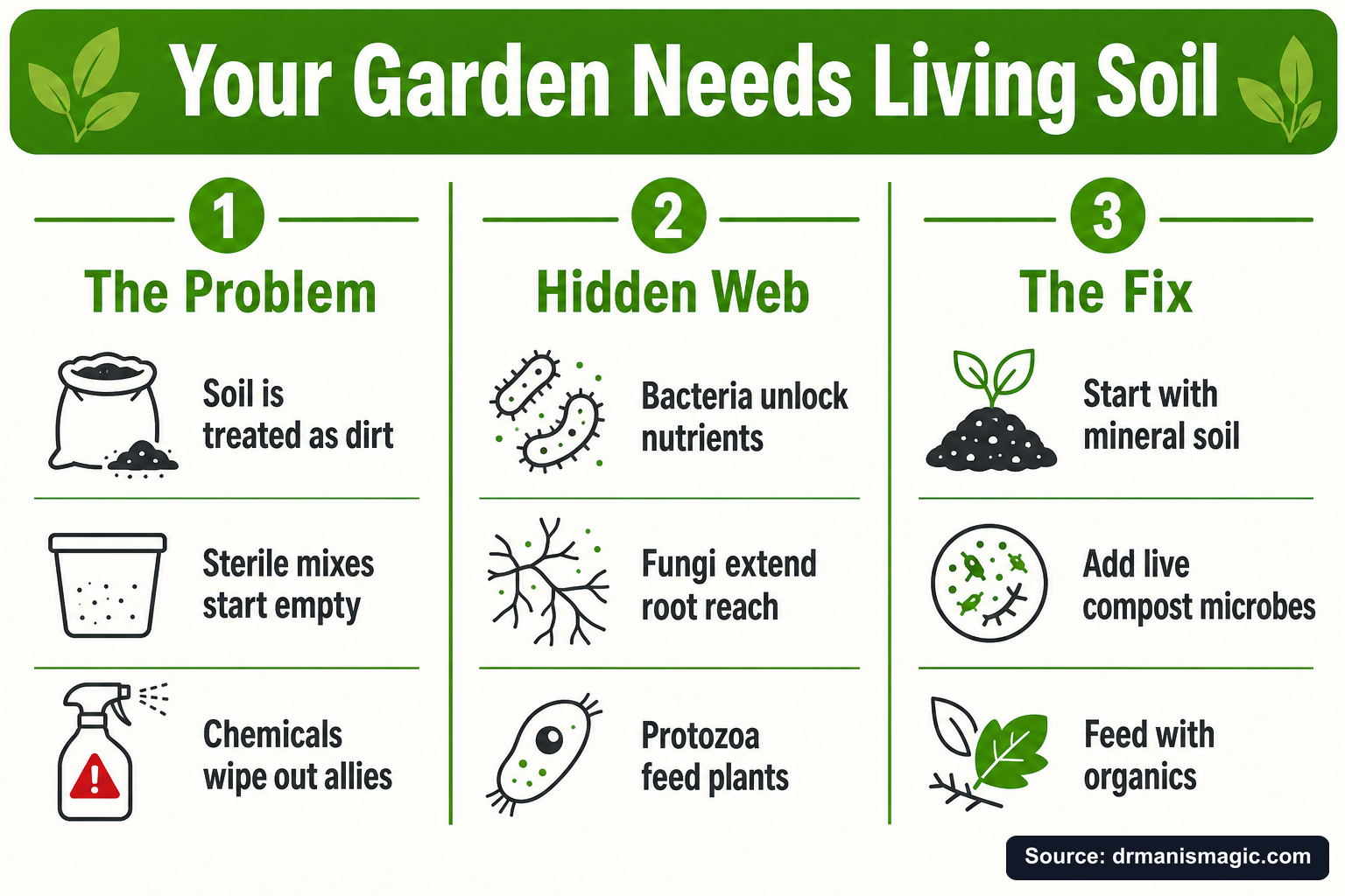 Your Garden Needs Living Soil infographic