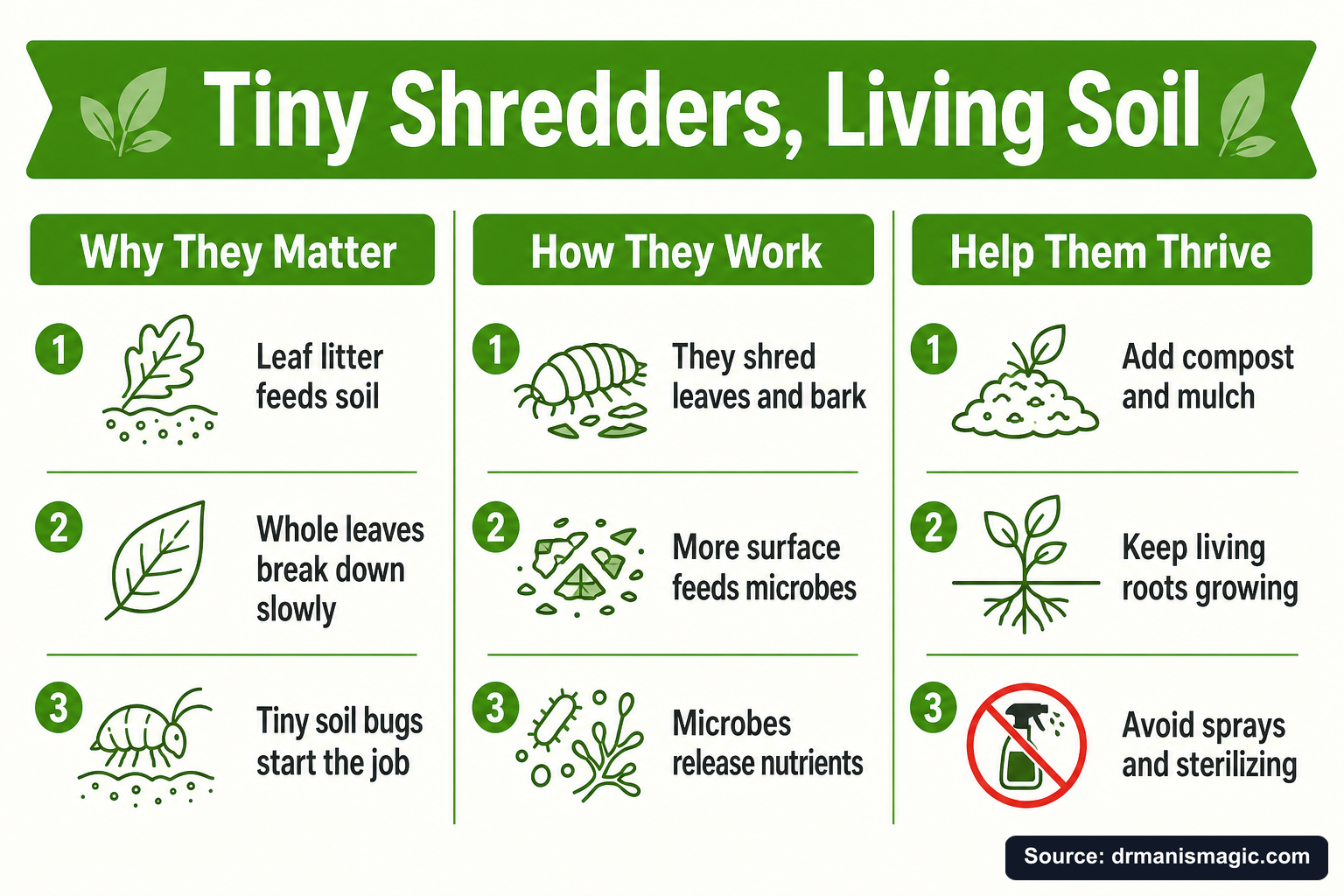 Tiny Shredders, Living Soil infographic