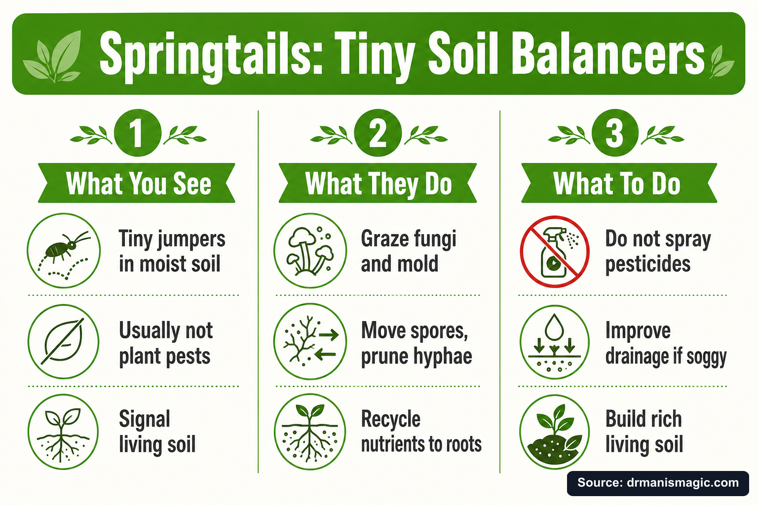 Springtails: Tiny Soil Balancers infographic