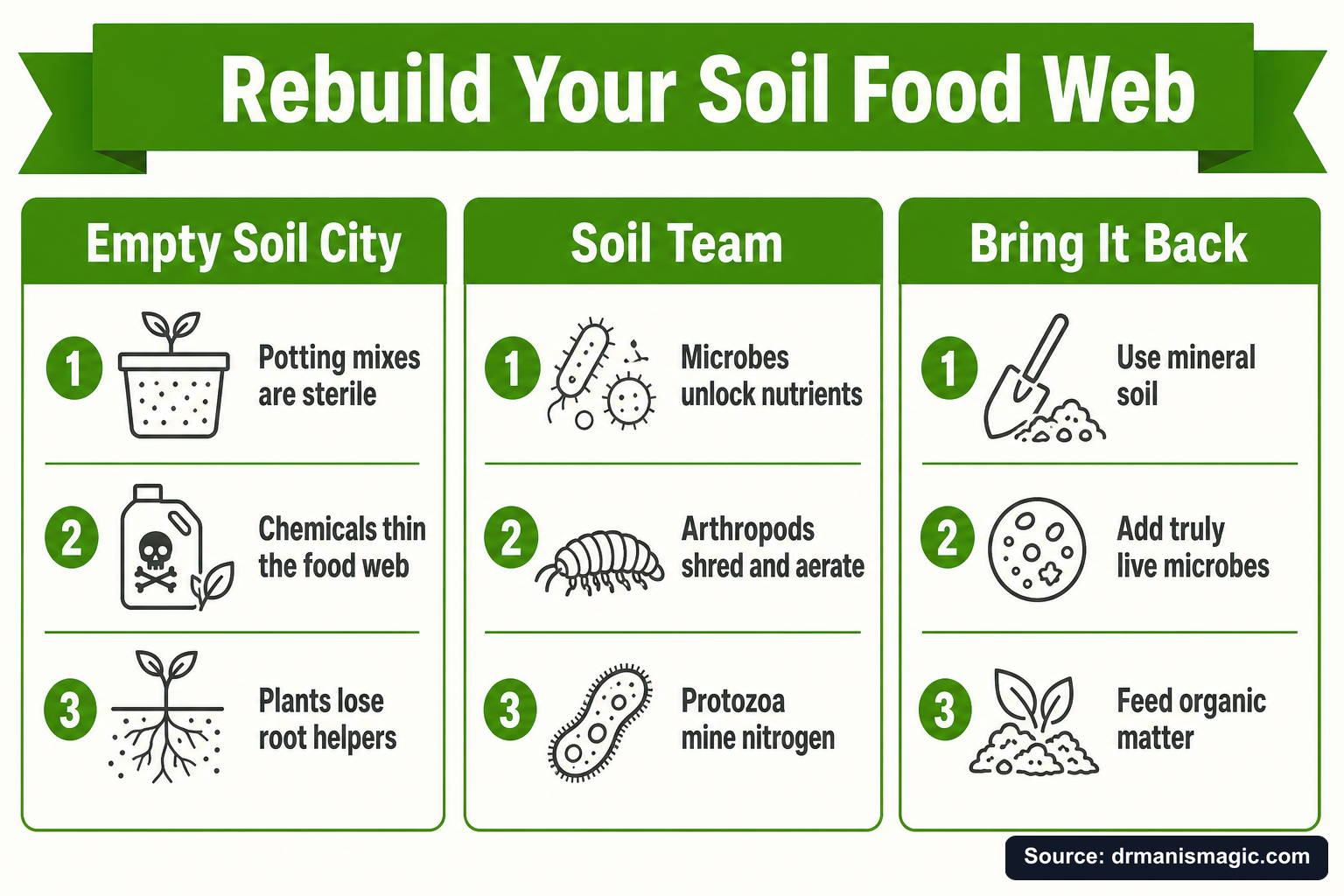 Rebuild Your Soil Food Web infographic