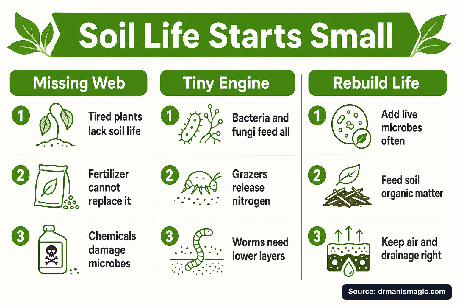 Soil Life Starts Small infographic