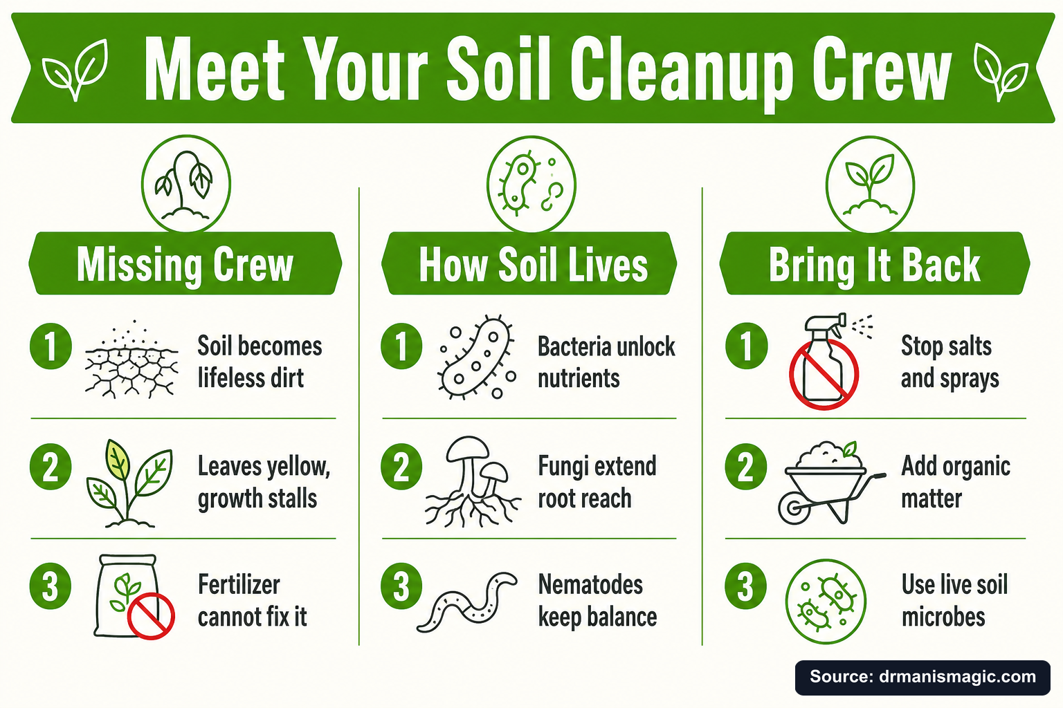 Meet Your Soil Cleanup Crew infographic