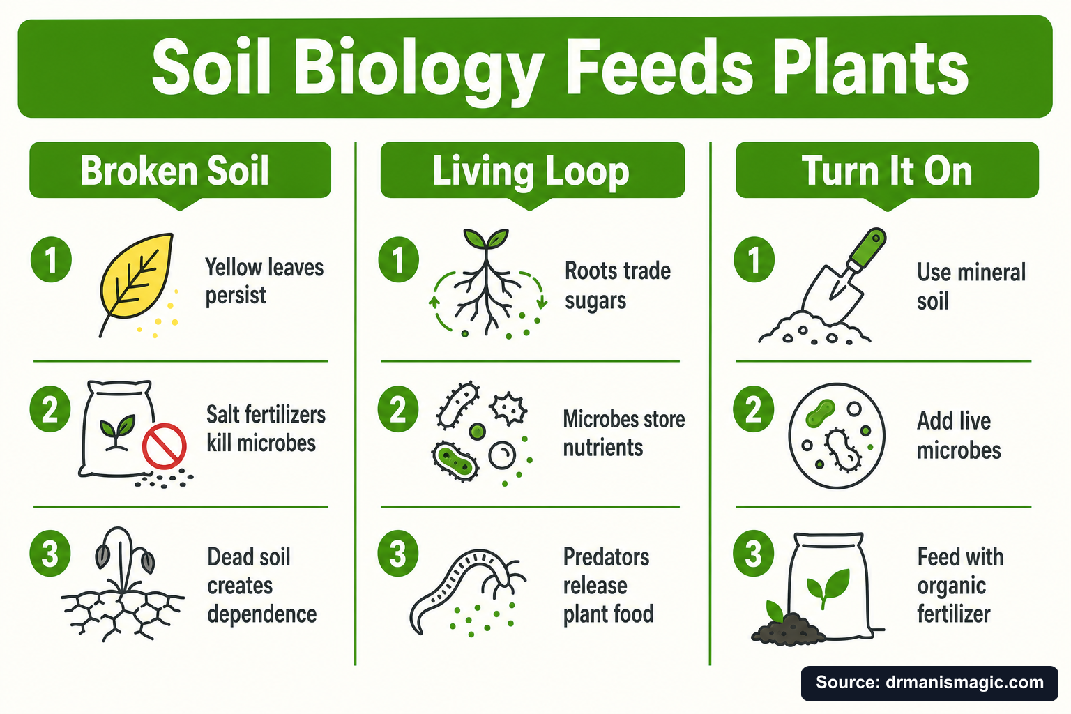 Soil Biology Feeds Plants infographic