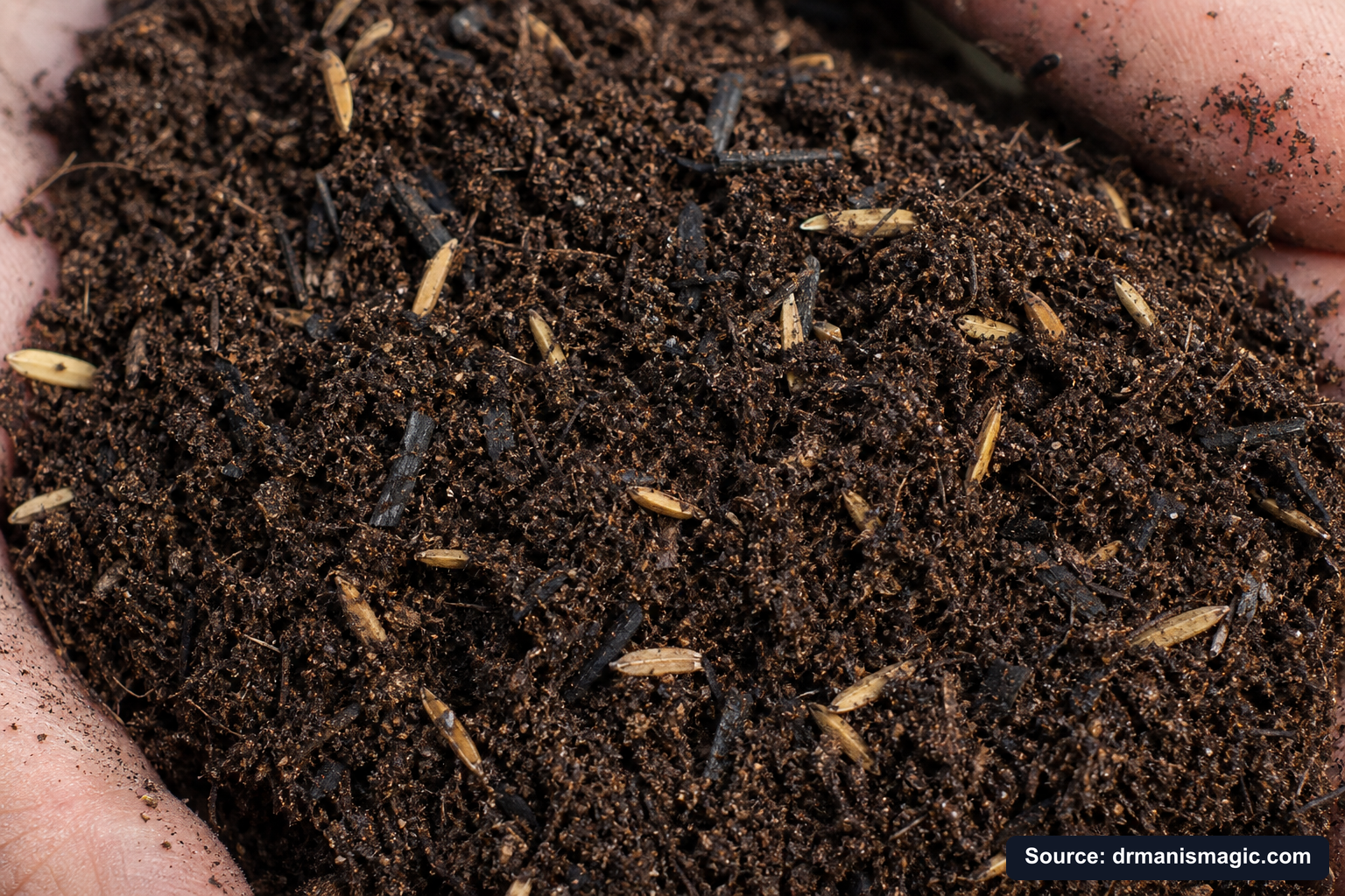 Macro close-up of premium mineral-based potting soil texture