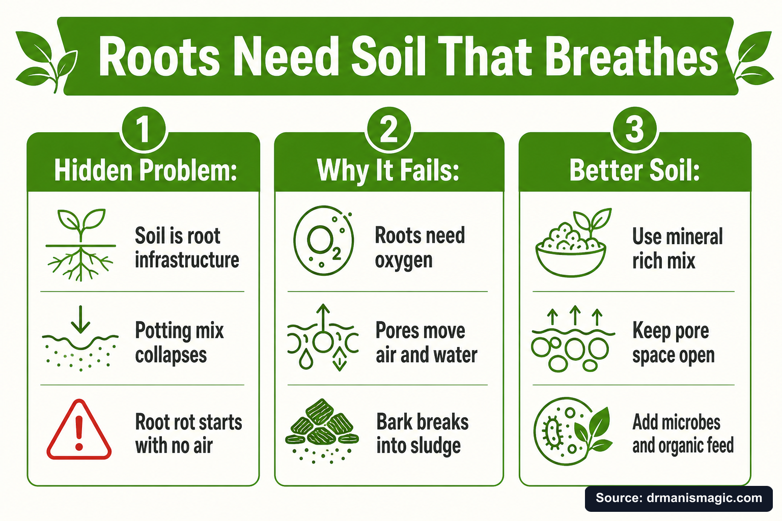 Roots Need Soil That Breathes infographic