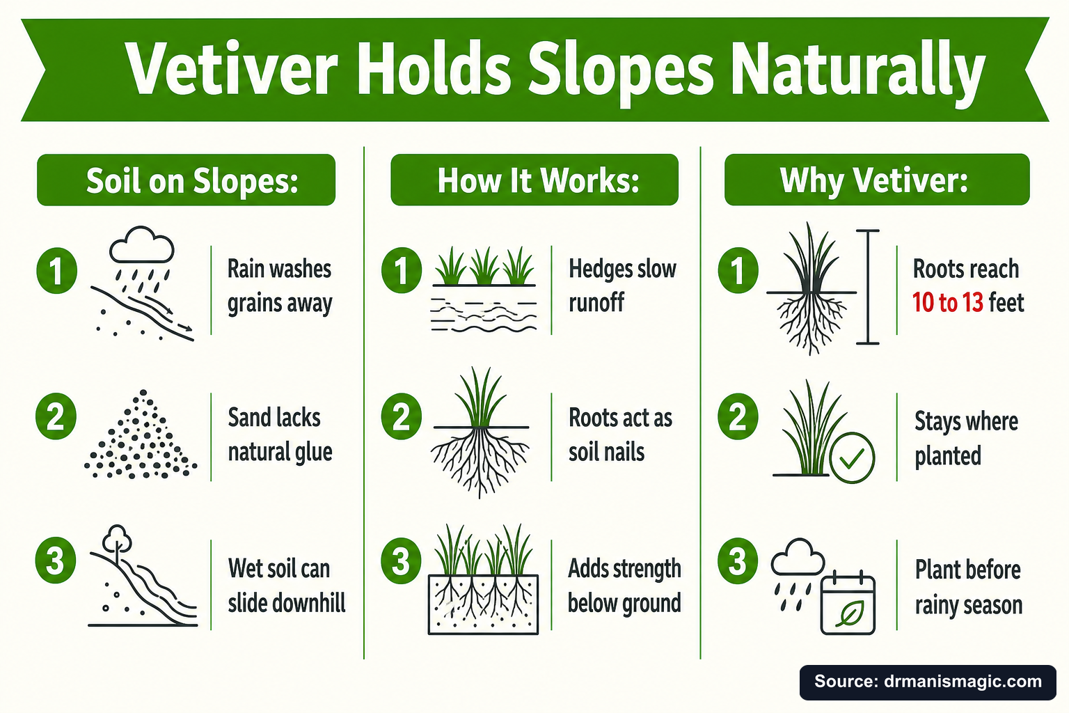 Vetiver Holds Slopes Naturally infographic