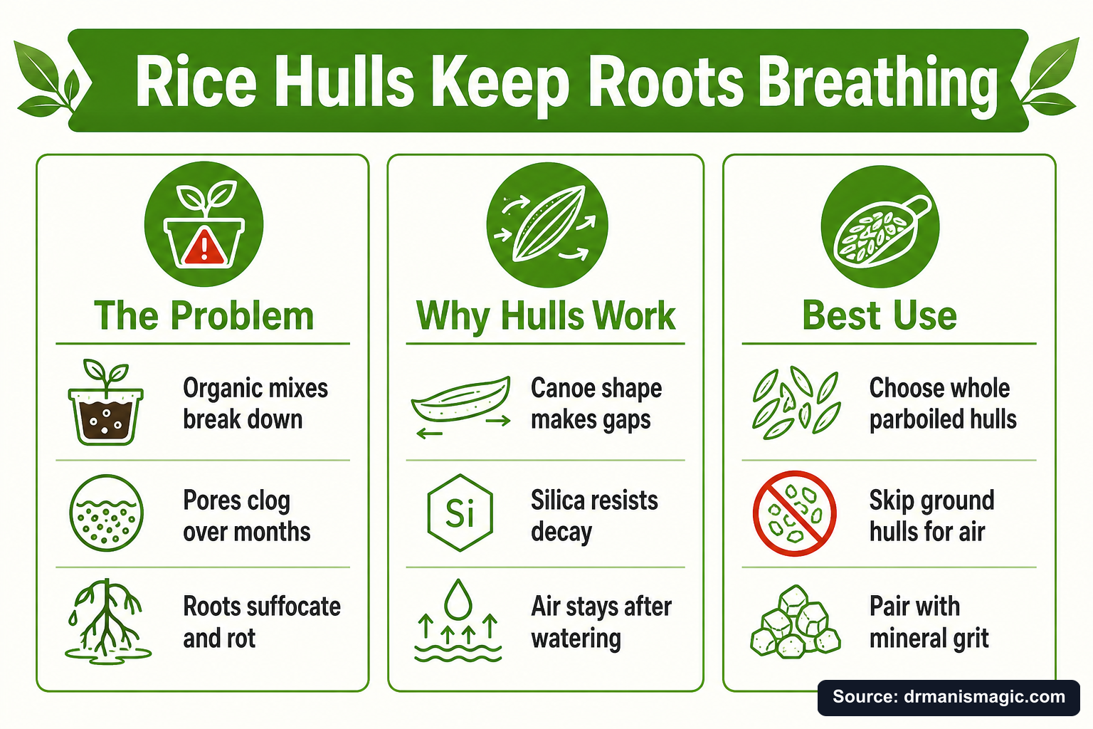 Rice Hulls Keep Roots Breathing infographic