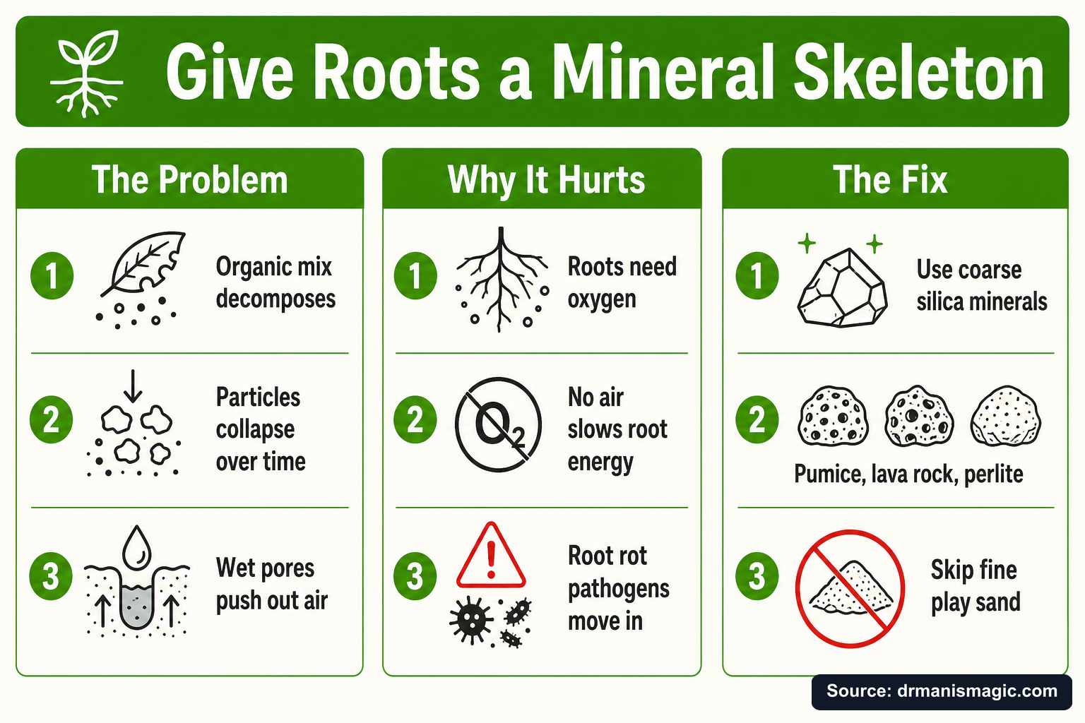 Give Roots a Mineral Skeleton infographic